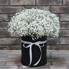 Цветочная композиция из Гипсофила в шляпной коробке #REPLACE_PRED# Солнечногорск-30
